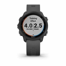 Garmin Forerunner 245 Grey