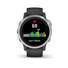 Garmin Fenix 6S Glass Silver/Black Band