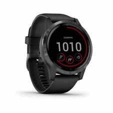 Garmin Vivoactive 4 Gray/Black Band