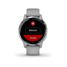 Garmin Vivoactive 4S Silver/Gray Band