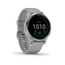 Garmin Vivoactive 4S Silver/Gray Band