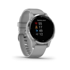 Garmin Vivoactive 4S Silver/Gray Band