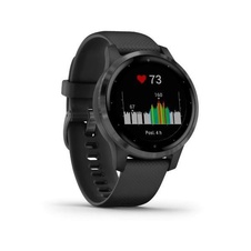 Garmin Vivoactive 4S Gray/Black Band