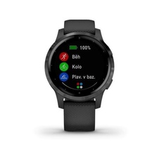 Garmin Vivoactive 4S Gray/Black Band