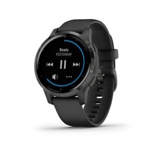 Garmin Vivoactive 4S Gray/Black Band