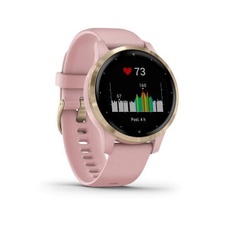 Garmin Vivoactive 4S LightGold/Pink Band