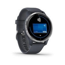 Garmin Venu Silver/Blue Band