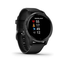 Garmin Venu Black/Slate Band