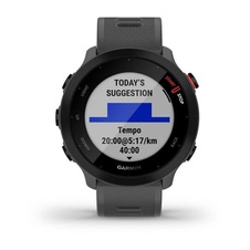 Garmin Forerunner 55 Grey