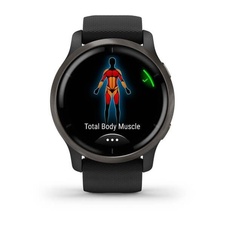 Garmin Venu 2 Slate/Black Band