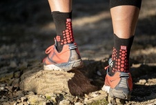 Pro Racing Socks v3.0 Trail