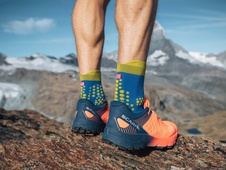 Pro Racing Socks v3.0 Trail