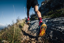 Pro Racing Socks Winter Trail